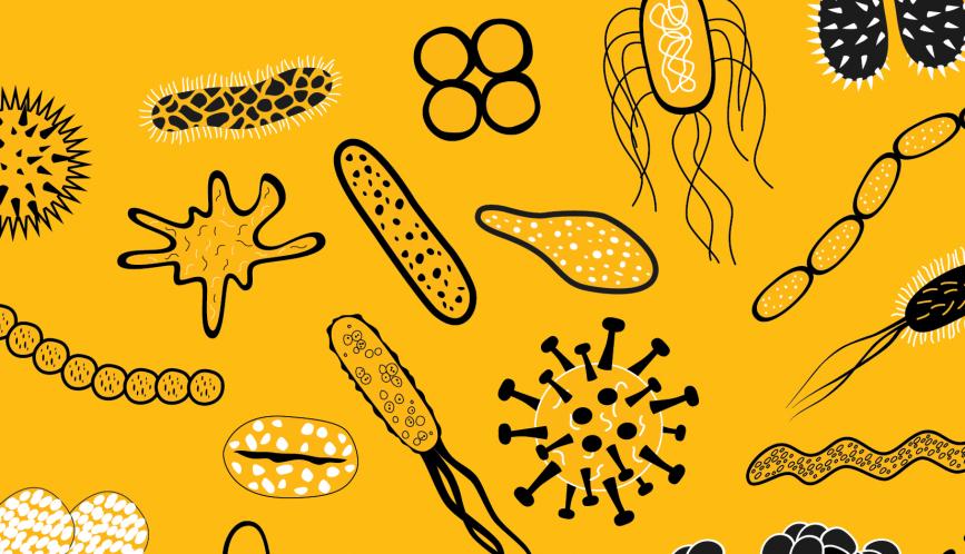 A vector image of different kinds of bacteria, set against a yellow background.