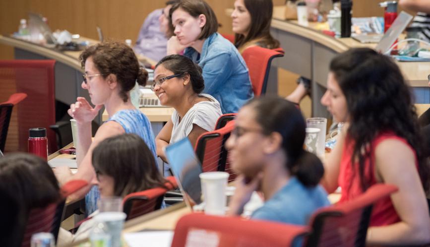 A group of summer school students watching a presentation.