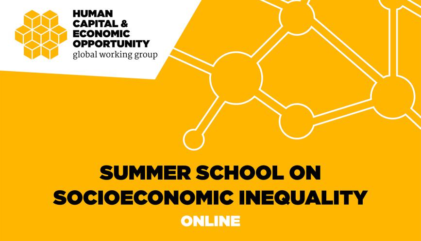 Graphic main text reads "Summer School on Economic Inequality Online." Logo text in corner reads "Human Capital & Economic Opportunity global working group."